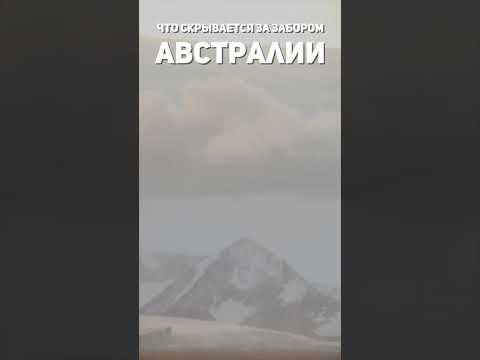 Видео: Австралийски съюз: основна информация