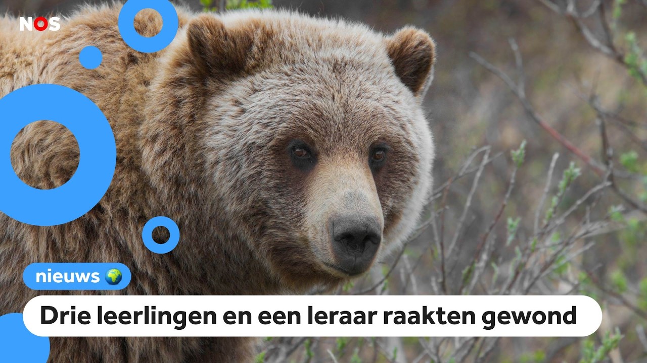 Grizzlybeer valt schoolklas aan in Canada