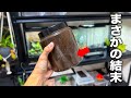 1年間育てた【とあるカブトムシ】の幼虫がとんでもない姿に...