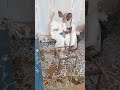 ኣዴታትና
