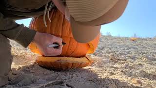 Exploding Pumpkins 2020