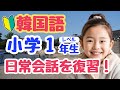 【韓国語初心者】小学１年生レベル！日常会話完全マスターまとめ｜初心者・独学・聞き流し・超入門におすすめ