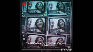 Nesen Beni Unut Nede Ben Seni Sevgül Vs Babacan Dostu Özgür