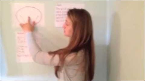 Ellipse and Circle Cone Video
