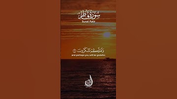وما يستوي البحران هذا عذب فرات سائغ شرابه وهذا ملح أجاج | سورة فاطر | بلال الشاكر
