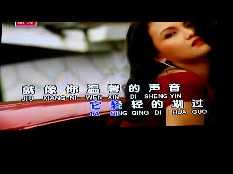 罗宾MV(爱的问号)冯昭明演唱