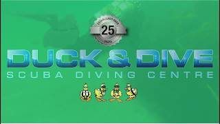 Duck and Dive