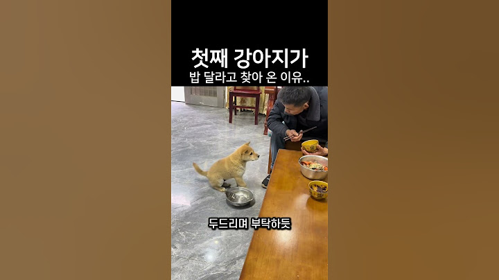 "밥 달라더니 어디가?.." 첫째 강아지가 어미 개를 위해 한 행동