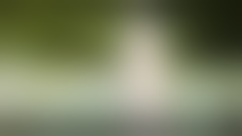 Unboxed The Firefly 2 Dynamic Convection Portable Vaporizer