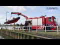 Grote reddingsactie voor 800 besmeurde zwanen - Deltaweg Maassluis