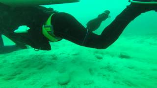Electric Ray Attack - Zihuatanejo Mexico