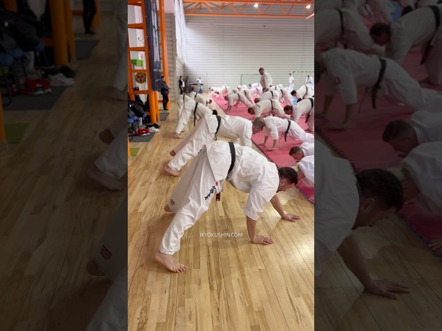 Cristian Boldut Fight Camp 2026 #kyokushin #shinkyokushin #karate #1kyokushin #一極真 #極真会館