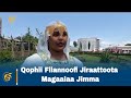 Qophii Filannoofi Jiraattoota Magaalaa Jimma