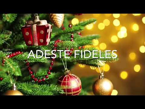      بميلادك يا رب ي