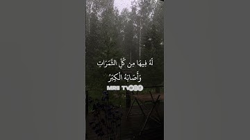 ماهر المعيقلي - سورة البقرة ( برواية حفص عن عاصم ) الأية 266