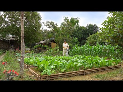 Видео: Полное видео: 90 дней, сельское хозяйство, сбор урожая в саду, кулинария, уход за животными