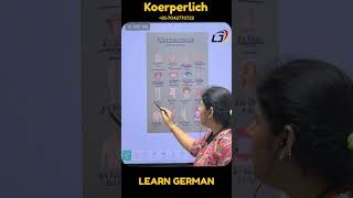 Body Parts in German | Learn German Vocabulary for Beginners (A1 Level) 🇩🇪 | Körperteile auf Deutsch