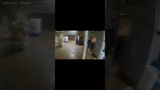 Blind Man! Speedqb  #airsoft #airsoftcqb #speedqb #arizona #funny #dangerous