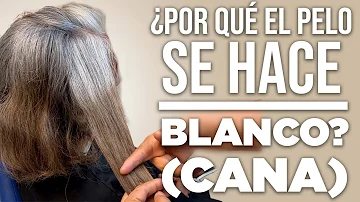 ¿Por qué su pelo se volvió blanco MHA?