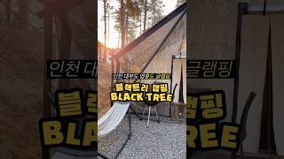인천 대부도 영흥도 블랙트리캠핑 서울근교 럭셔리글램핑 추천😍