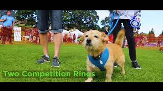 Pooches in the Park 2019