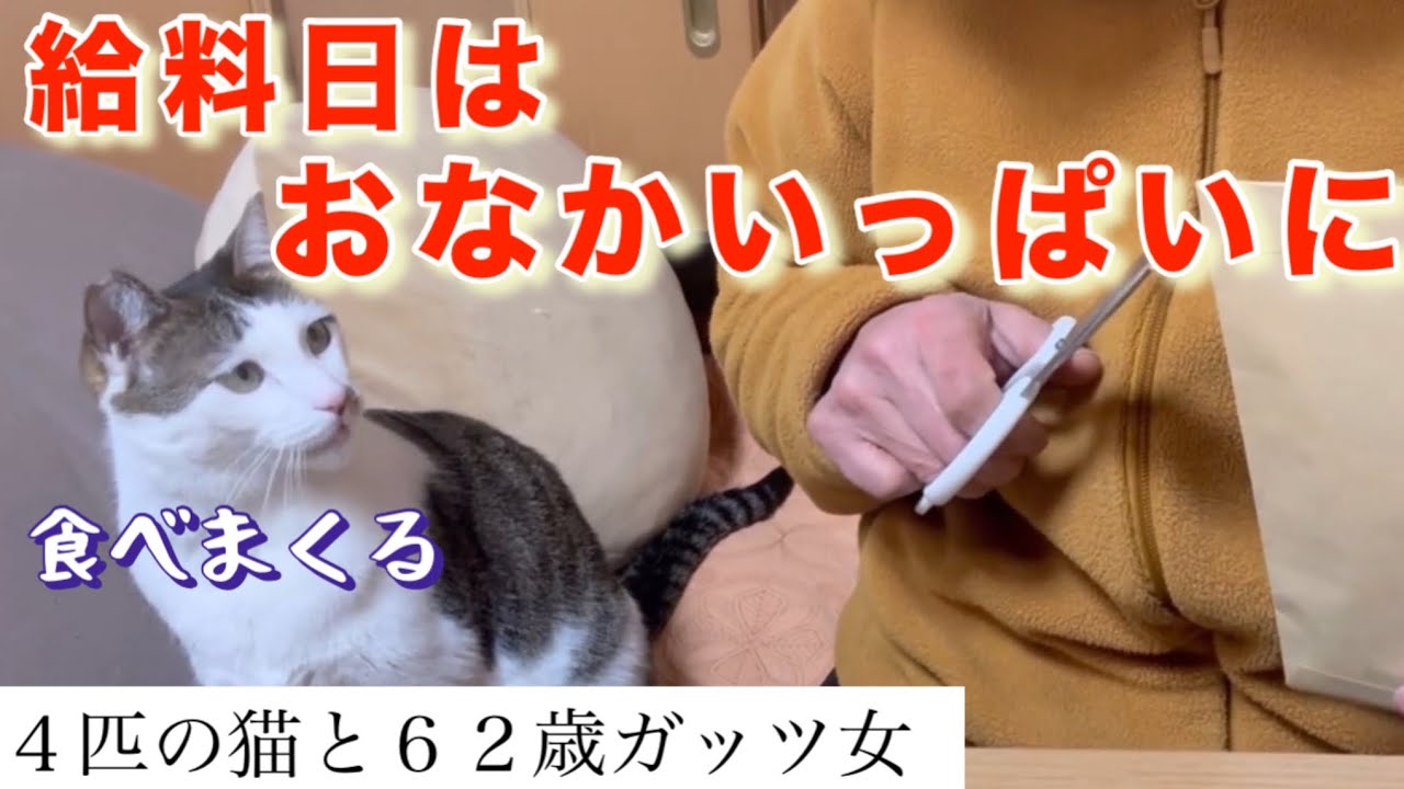 【猫と貧乏女】給料日なので、おなかいっぱいたべたーいです。1週間買い物無しで、なんとかたえました。