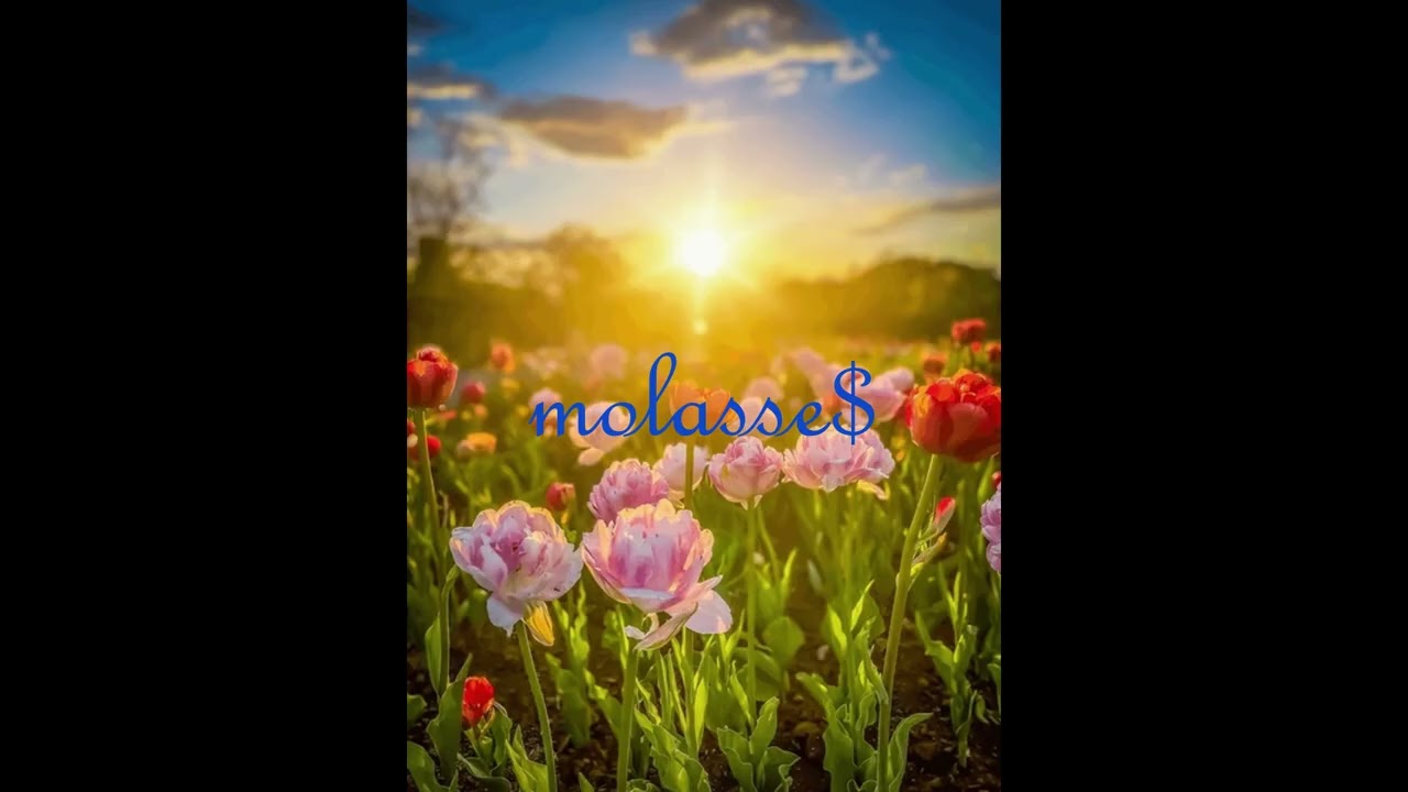 [FREE] Griselda x Sample // Type Beat 2025 - "MORNING FLOWER"