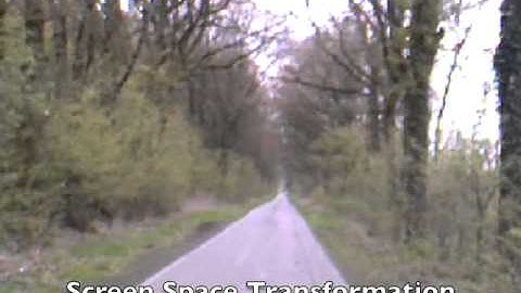 Going With the Flow: Modifying Self-Motion Perception with Computer-Mediated Optic Flow