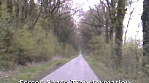 Going With the Flow: Modifying Self-Motion Perception with Computer-Mediated Optic Flow