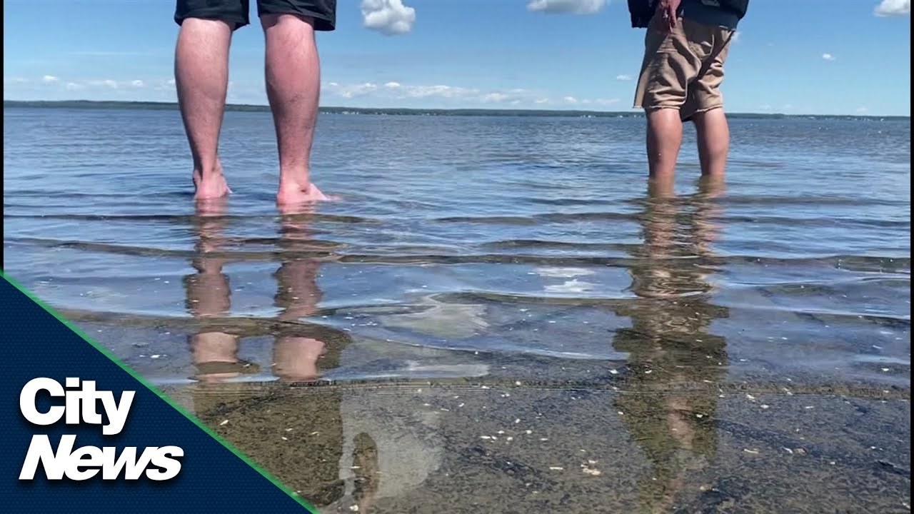 Lac Ste. Anne has blue green algae ahead of Pope’s visit