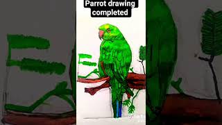 😱Parrot🐦drawing also✅ completed❤️#viral#drawing#parrot
