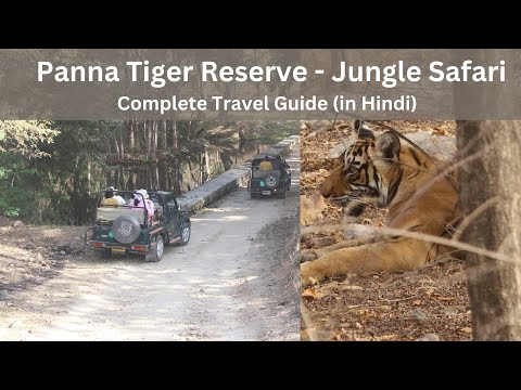 Panna Tiger Reserve Jungle Safari - Complete Travel Guide (Hindi Audio)
