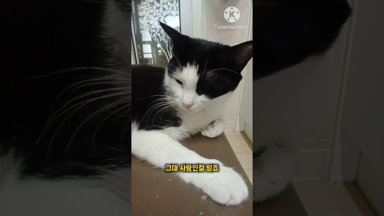 이쁜 내새끼들...