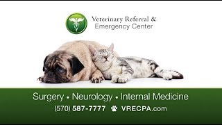 Veterinary Referral and Emergency Center Commercial Compilation
