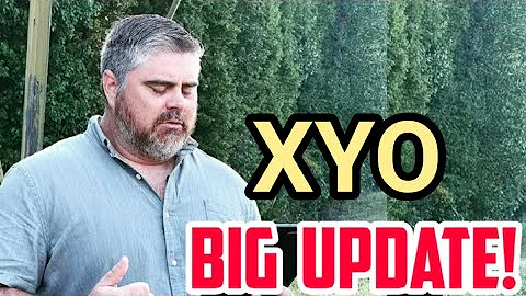 XYO BIG UPDATE! || XYO Price Prediction || Crypto today News
