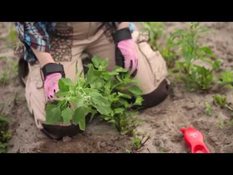 Video: 9 idéer om hur du gör din trädgård lyxig