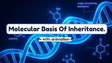 MOLECULAR BASIS OF INHERITANCE WITH ANIMATION #class12 #neet #cbse 