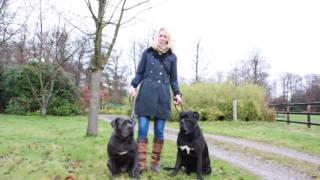 Janine Miles En Jill Uitgelaten De Gooi- En Eemlander