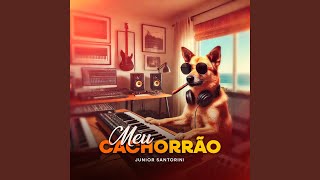 Meu Cachorrão