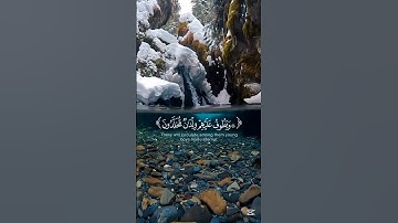 عينا فيها تسمى سلسبيلا   تلاوة رائعة من القارئ محمد اللحيدان 💙😴 #قران كريم #quran #قرآن #تلاوة خاش