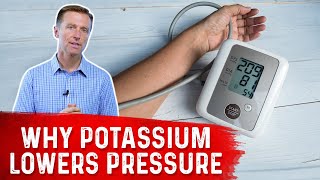 Why Does Potassium Work for Hypertension? High Potassium Foods for High Blood Pressure – Dr.Berg screenshot 5