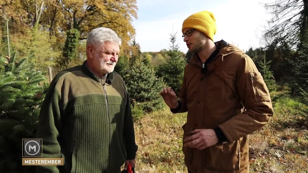 Mesterember - Karácsonyfa-termesztő