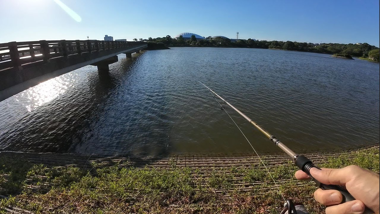 福岡の有名バス釣りスポットに挑む！