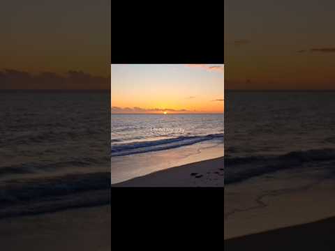 On My Way Alan Walker Musical Edit Lyrics Edit Slowed Speed Reverb