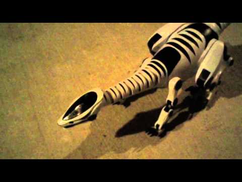 Video: Verschil Tussen Robotyrannus En Roboreptile