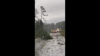 Possible tornado damage spotted in Elysian Fields