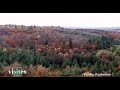 La forêt de Tronçais - Visites privées