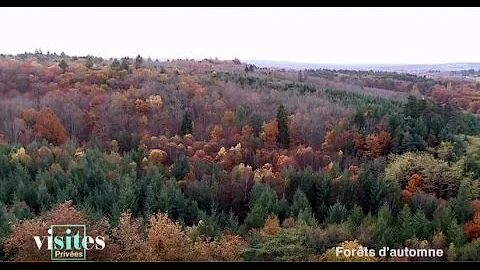 Qui a planté la forêt de Tronçais ?