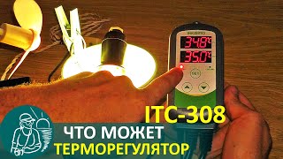 🔧 🐔 Терморегулятор Inkbird Itc-308: Обзор-Видеоинструкция На Русском | Технологии Гордеевых | Diy