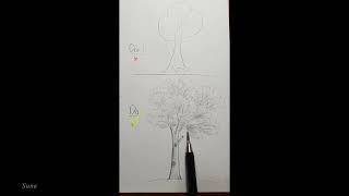 How to draw a tree by pencil / Suna